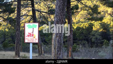 Ein Waldschild mit roter Flamme, ein brennendes Streichholz mit grünen Bäumen, das auf Gefahr, extreme Brandgefahr hinweist. Es heißt auf Spanisch Gefahr von Bränden Stockfoto