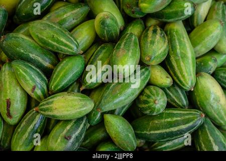 Frischer Bio Spitzkürbis vom Bauernhof aus der Nähe aus verschiedenen Blickwinkeln Stockfoto