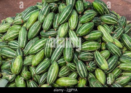 Frischer Bio Spitzkürbis vom Bauernhof aus der Nähe aus verschiedenen Blickwinkeln Stockfoto