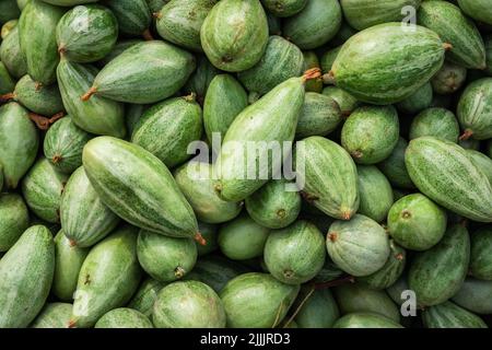 Frischer Bio Spitzkürbis vom Bauernhof aus der Nähe aus verschiedenen Blickwinkeln Stockfoto