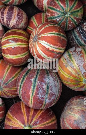 Frische Bio-Moschusmelone vom Bauernhof aus der Nähe aus verschiedenen Blickwinkeln Stockfoto