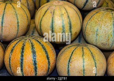 Frische Bio-Moschusmelone vom Bauernhof aus der Nähe aus verschiedenen Blickwinkeln Stockfoto