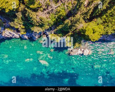 Malerisches Meer Adriaküste von Montenegro. Türkisfarbenes Mittelmeer und felsige Küste mit immergrünen Nadelbäumen. Wunderschöne Sommerlandschaft Stockfoto