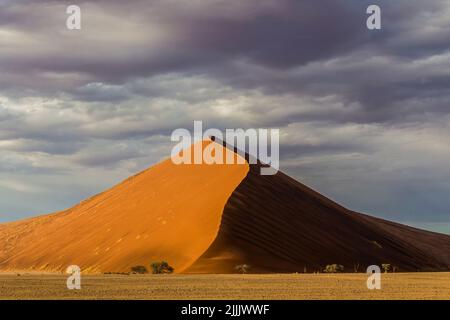 Die Düne 45 ist so benannt, dass sie 45 km vom Sesriem-Tor entfernt ist, dem Haupteingang des Namib-Naukluft-Nationalparks, in dem sie sich befindet Stockfoto