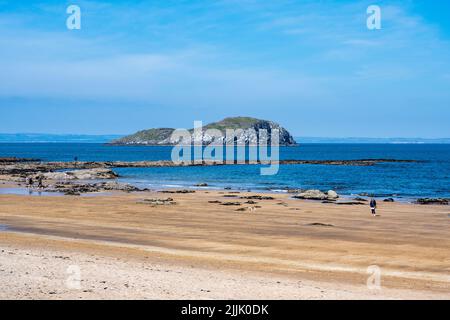 Blick über den Milsey Bay Beach nach Craigleith Island, North Berwick, East Lothian, Schottland, Großbritannien Stockfoto