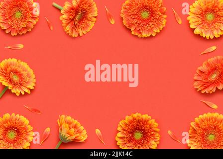 Gerbera Blumen und Blütenblätter Rahmen auf rotem Hintergrund Draufsicht flach legen Stockfoto