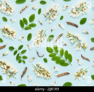 Nahtlose florale Muster von blühenden weißen Robinia pseudoaccia oder schwarze Heuschrecke falsche Akazienblüten Blätter und Samen auf blauem Hintergrund Draufsicht flach Stockfoto