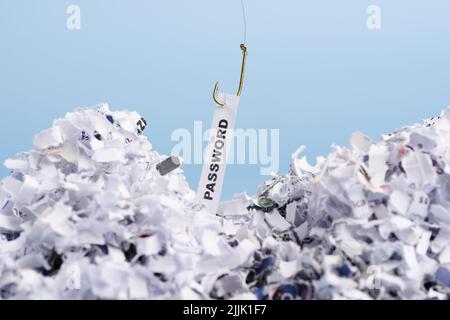 Kennwort auf Angelhaken eingehakt, der aus dem Stapel geschredderter Dokumente auf blauem Hintergrund gezogen wurde Stockfoto