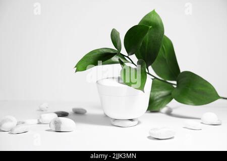 Ein weißes Glas Creme auf einem weiß-grauen Hintergrund, auf einem weißen Tisch mit grünen Blättern einer tropischen Pflanze, mit harten Schatten. Stilvoller Look von Th Stockfoto