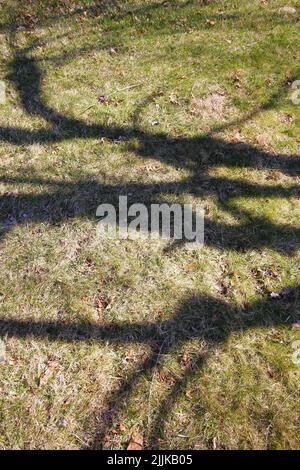 Eine vertikale Aufnahme von Baumschatten und Silhouetten auf Gras mit trocken gefallenen Herbstblättern Stockfoto