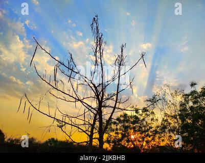 Eine schöne kurze Sunset Photos Hintergrund Stockfoto