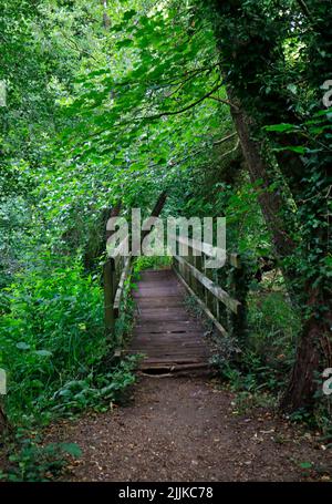 Blick auf eine hölzerne Fußgängerbrücke auf einem Fußweg durch Train Wood in der Nähe des ehemaligen Stadtbahnhofs in der Stadt Norwich, Norfolk, England, Großbritannien. Stockfoto