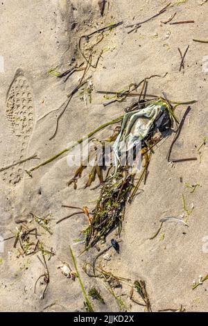 Eine gebrauchte medizinische Maske am Strand Stockfoto