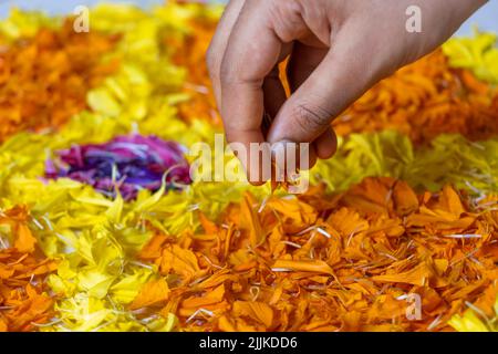 Nahaufnahme Der Hand Vorbereitung Pookalam, Traditionelle Blumen Dekoration Zu Feiern Onam Festival In Kerala Stockfoto