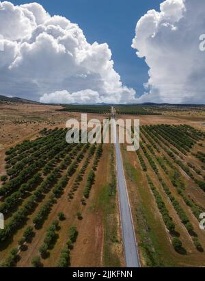Eine vertikale Luftaufnahme einer Straße, die durch Ackerland führt Stockfoto