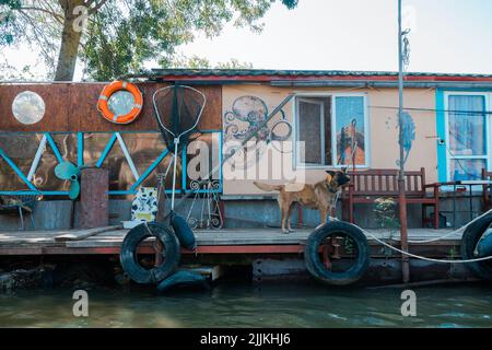 Die schöne Aufnahme eines deutschen Schäferhundes, der auf einem beweglichen Dock in der Nähe seines Hauses sitzt Stockfoto