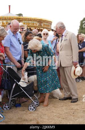 Die Herzogin von Cornwall schürt Dill, einen Jack Russell Terrier, als sie während ihres Besuchs und ihrer Tour zur Sandringham Flower Show im Sandringham House in Norfolk Mitglieder der Öffentlichkeit mit dem Prince of Wales trifft. Bilddatum: Mittwoch, 27. Juli 2022. Stockfoto