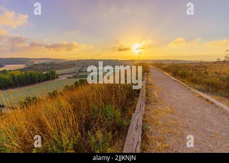 Sonnenaufgang Blick auf einen Fußweg, Landschaft und sanfte Hügel, im Tel Lachish Nationalpark, der Shephelah Region, Süd-Zentral-Israel Stockfoto