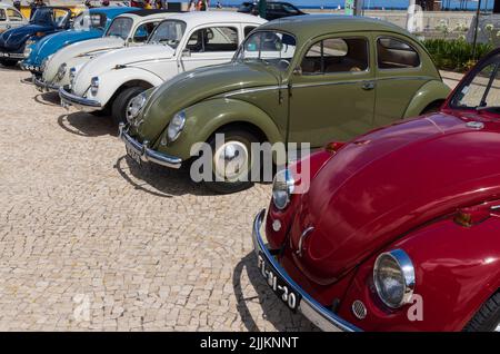 Klassische Volkswagen's in Funchal, Madeira, Portugal Stockfoto