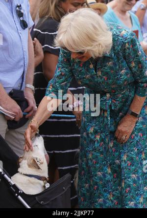 Die Herzogin von Cornwall schürt Dill, einen Jack Russell Terrier, als sie während ihres Besuchs und ihrer Tour zur Sandringham Flower Show im Sandringham House in Norfolk Mitglieder der Öffentlichkeit mit dem Prince of Wales trifft. Bilddatum: Mittwoch, 27. Juli 2022. Stockfoto