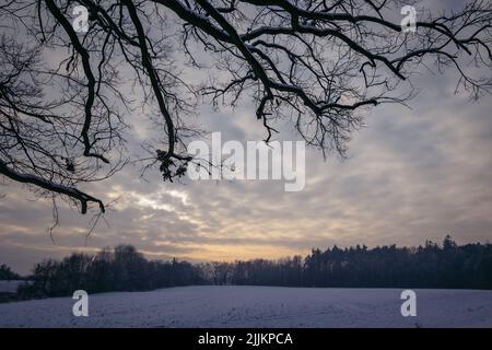 Winter im Dorf Rogow in der Woiwodschaft Lodzkie in Polen Stockfoto