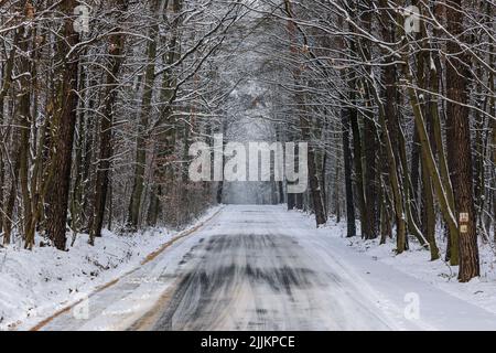 Im Winter schneebedeckte Straße im Dorf Rogow in der Woiwodschaft Lodzkie in Polen Stockfoto