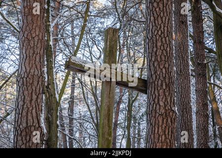 Hölzernes Kreuz auf dem Friedhof des Ersten Weltkrieges Rogow Dorf in der Woiwodschaft Lodzkie Polens Stockfoto