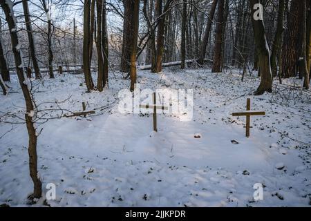 Die Gräber der unbekannten Soldaten auf dem Friedhof des Ersten Weltkrieges Rogow-Dorf in der Woiwodschaft Lodzkie Polens Stockfoto