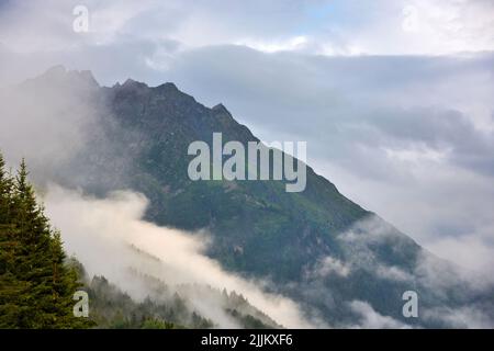 Nebliger Sommermorgen in den Alpen. Weißer Nebel über der verträumten Bergkette, bedeckt mit grünem Wald. Stockfoto