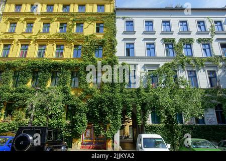 Berlin, Prenzlauer Berg, begrünte Gründerzeitfassaden // Berlin, Grüne Fassade Stockfoto