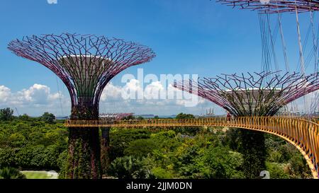 Eine malerische Aussicht auf die Gardens by the Bay Park in Singapur Stockfoto