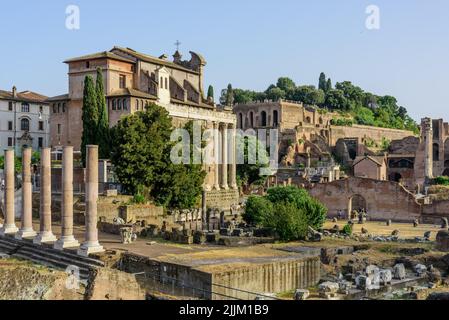 Rom, Forum Romanum, Tempel des Antoninus Pius und der Faustina // Rom, Forum Romanum, Tempio di Antonino e Faustina Stockfoto