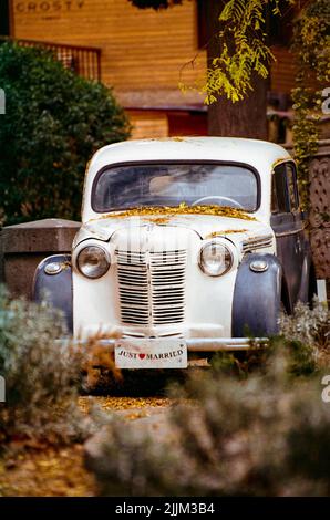 Eine vertikale Aufnahme eines alten Oldtimers mit einem gerade verheirateten Banner, das mit Herbstblättern bedeckt ist. Stockfoto