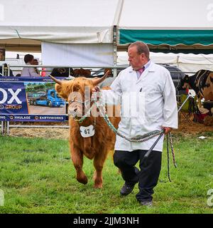 Mann, der eine Highland-Kuh in die Richterarena bei der Royal Lancashire Show 2022 führt Stockfoto