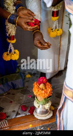 Eine vertikale Aufnahme von Händen, die Kupfer-Kalash mit Kokos- und Mangoblatt mit Blumenschmuck in Hindu-Puja vorbereiten Stockfoto