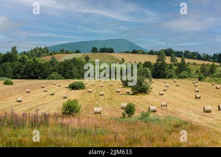 Ein Hochplateau mit Heuhaufen im Sommer in Bosnien und Herzegowina Stockfoto