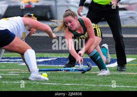 Ein flacher Fokus von Hockey-Frauen kämpfen in New York, USA, um den Ball Stockfoto