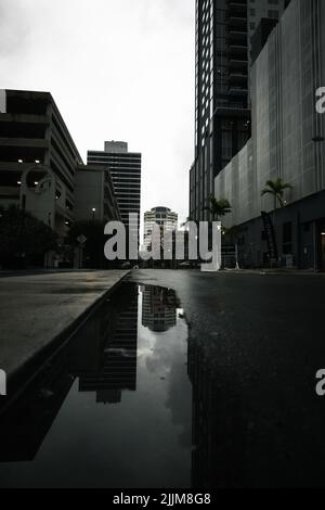 Eine Graustufenaufnahme aus geringem Winkel von wenig Wasser auf der Straße, die die Stadtgebäude mit hellem Himmel reflektiert Stockfoto