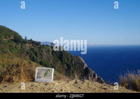 Ein schöner Blick auf das blaue Meer und einen grünen Papagei im Käfig auf einem bewaldeten Hügel Stockfoto