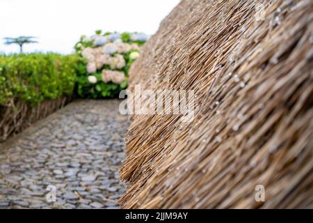 Eine Nahaufnahme eines traditionellen Reetdaches in Santana, Portugal Stockfoto