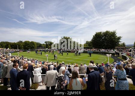 Allgemeine Ansichten in der Parade Ring am zweiten Tag des Qatar Goodwood Festival 2022 auf Goodwood Racecourse, Chichester. Bilddatum: Dienstag, 26. Juli 2022. Stockfoto