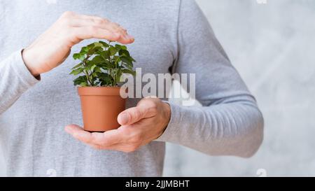 Ökologie Bewegung Umwelt Mann decken Zimmerpflanze Stockfoto