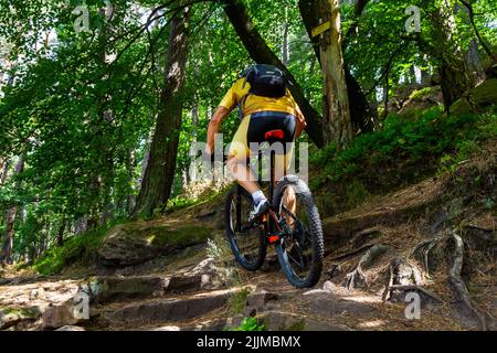 Mountainbiker fahren auf einem schmalen Pfad bergauf Stockfoto
