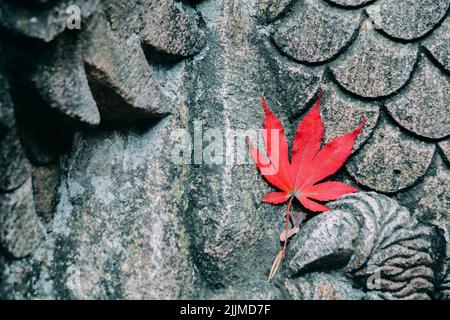 Nahaufnahme eines roten Ahornblatts auf einer Statue Stockfoto