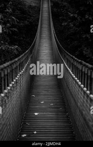 Eine vertikale Graustufenaufnahme einer Hängebrücke, die von Bäumen in einem Wald umgeben ist Stockfoto