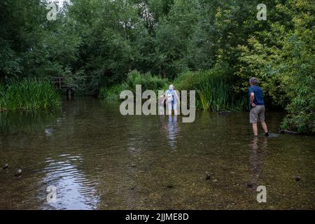 Chorleywood, Großbritannien. 27. Juli 2022. UK Weather – Menschen paddeln im River Chess in Chorleywood, Hertfordshire, einem Kreidestrom mit besonderer Bedeutung für die Tierwelt und die natürliche Umwelt. Die National Dürre Group hat die Menschen im ganzen Land dazu aufgefordert, Wasser während der aktuellen Zeit lang andauernder Trockenheit sinnvoll zu nutzen, um die Wasserversorgung und die Umwelt zu schützen, da das Met Office mehrere weitere trockene Wochen vor sich prognostiziert, insbesondere im Süden und Osten des Landes. Rohrleitungsverbote und Dürrebefehle stehen noch aus. Kredit: Stephen Chung / Alamy Live Nachrichten Stockfoto