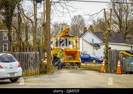 2021 03 24 Bloomington IN USA - Stadtarbeiter schiebt in einer Gasse in einer Kleinstadt mit Verkehrskegel in Mulching-Shredder-Chipper-Truck Äste in abgeschnittene Bäume Stockfoto