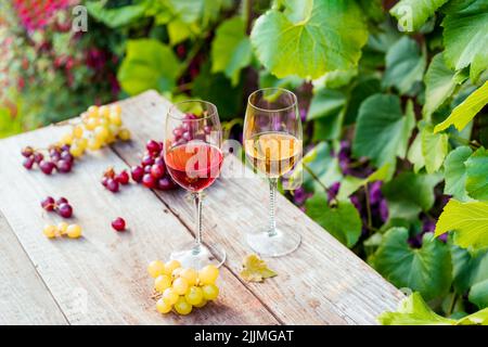 Gläser mit Weiß- und Rotwein und Traubenbeeren auf dem Holztisch in den Weinbergen, Weingut mit grünem Blatthintergrund. Weinprobe, Degustation Stockfoto
