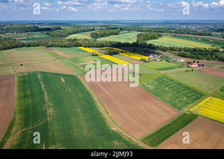 Felder um Miedzyrzecze Gorne Dorf in Gmina Jasienica, Kreis Bielsko, Woiwodschaft Schlesien im Süden Polens Stockfoto