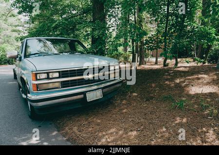 Ein alter chevrolet Pickup-Truck sitzt unter einigen Tress. Stockfoto